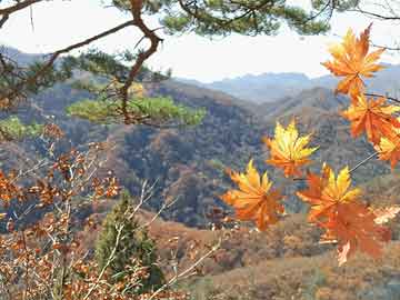 玉祁招聘最新動(dòng)態(tài)，時(shí)代的脈搏與行業(yè)引領(lǐng)者的招募之旅