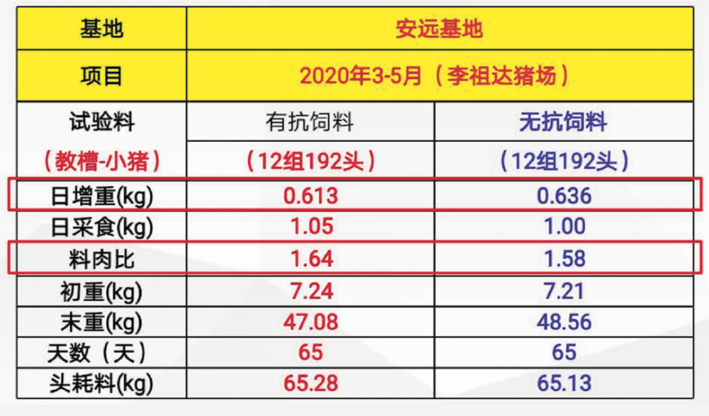 新澳2024年免資料費,執行驗證計劃_用心版36.862